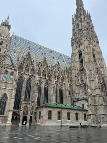 19ad105c-b551-4090-ad47-9e0e1b39fc98